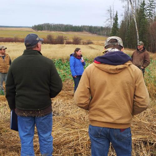 2015 - BC Forage Council Innovative Forage Production Field Tour